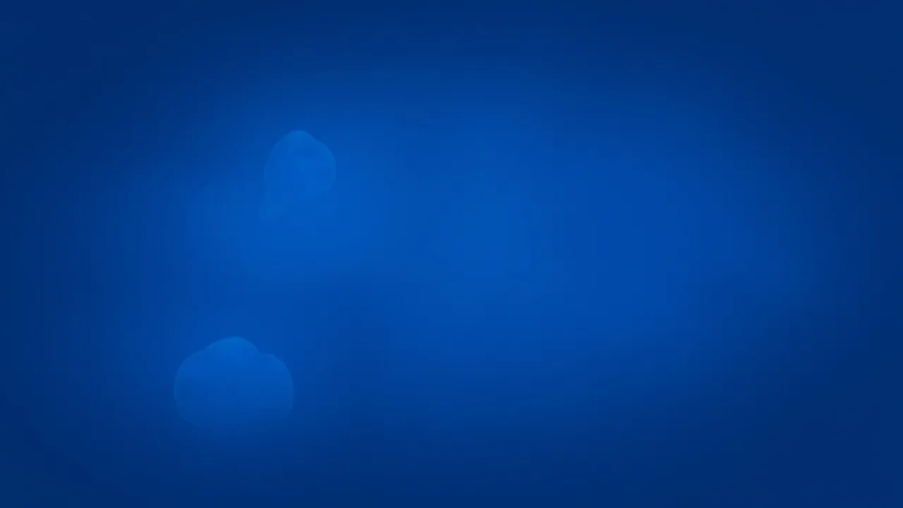Il futuro delle web app: l'elemento HTML install cambia tutto