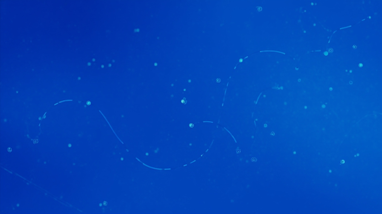 I Tracked Every AI Coding Dollar I Spent — Less Than Half Went to Writing Code