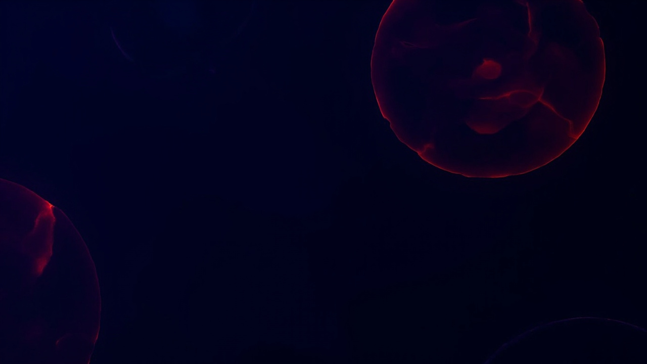 Your Brain Already Knows When You're About to Talk to Someone — And That's Fascinating