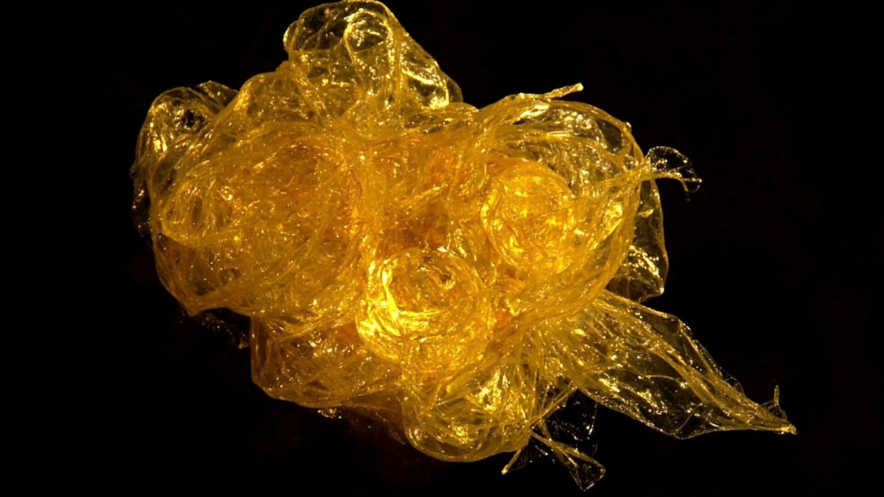 Scientists Just Brought Back the "Golden Fabric of the Sea" — And It's Even Cooler Than You Think