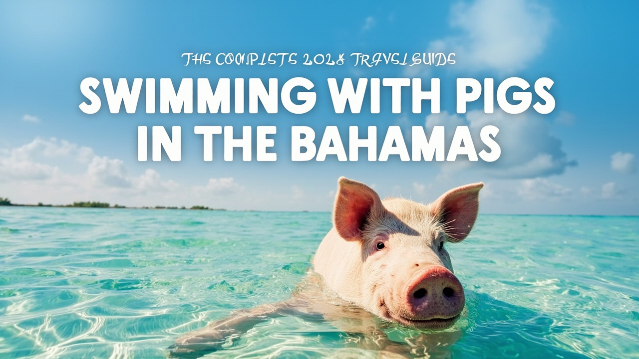 Swimming With Pigs in the Bahamas: The Complete 2026 Travel Guide