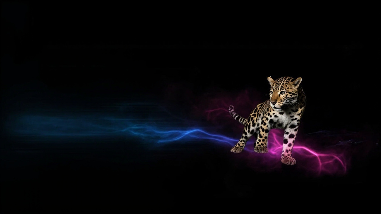 The Tiny Leopards of South Africa: A 20,000-Year-Old Mystery Finally Solved