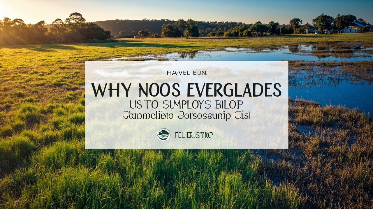 Why the Noosa Everglades Should Be on Your Australian Adventure List
