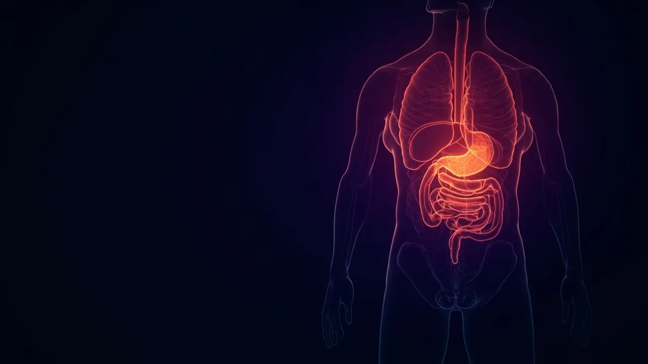 Your Gut Might Be the Secret to Saving Your Liver — And Scientists Just Cracked the Code