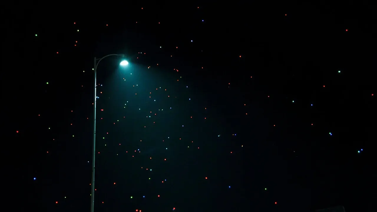 The Surprising Reason Thousands of Tiny Bugs Are Dancing to Their Death Under Streetlights