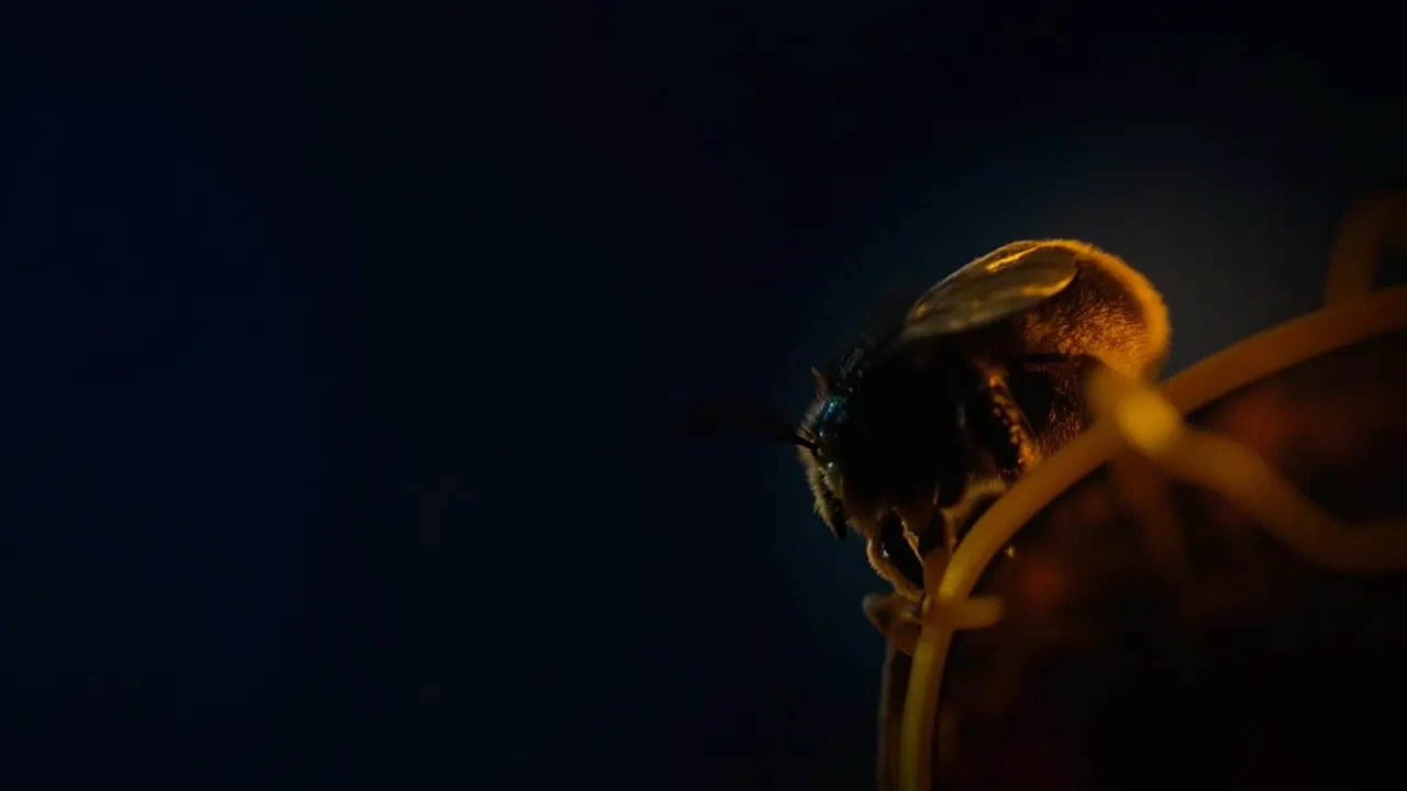 The Amazing Way Scientists Can Basically "Reassign" Bees Just by Tweaking Their Brains