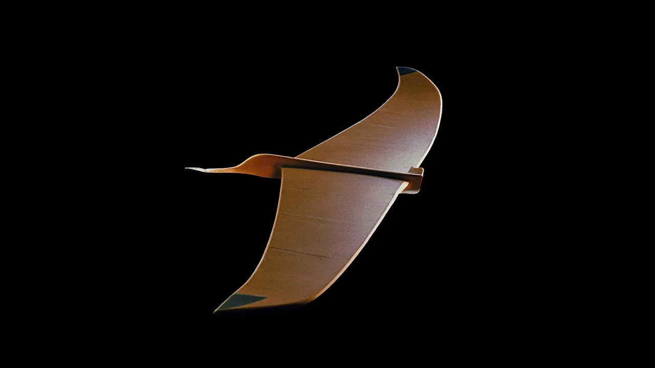 The 2,200-Year-Old Bird That Made Everyone Dream of Ancient Flying Machines