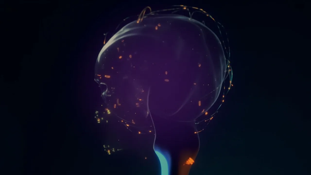 Why Your Grandmother's Genes Might Actually Matter More Than Your Lifestyle