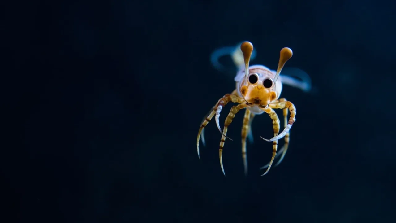 Scientists Found a Tiny Nightmare in the Deepest Part of the Ocean — And It's Adorable (Sort Of)