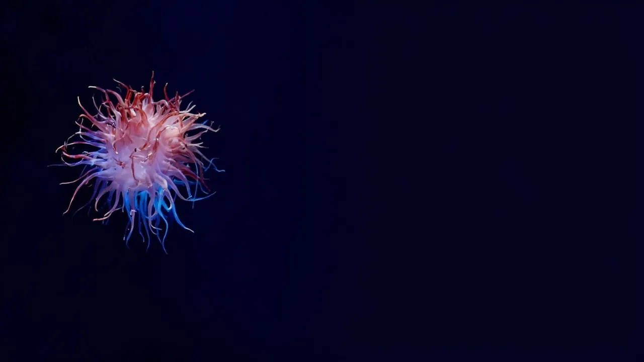 Wait, We're Related to Brainless Sea Creatures? This Discovery Blew My Mind