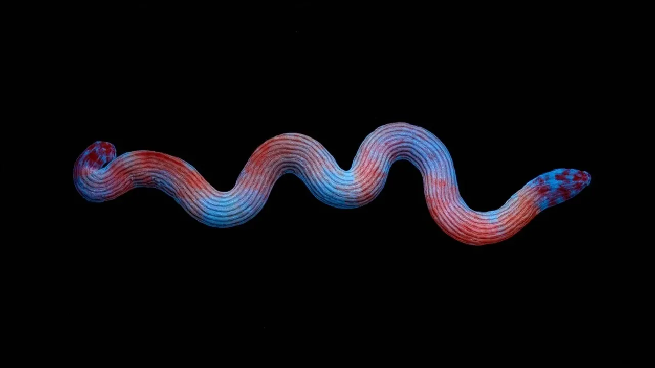 The Mind-Blowing Reason Baby Snakes Twist Into Spirals Before Hatching