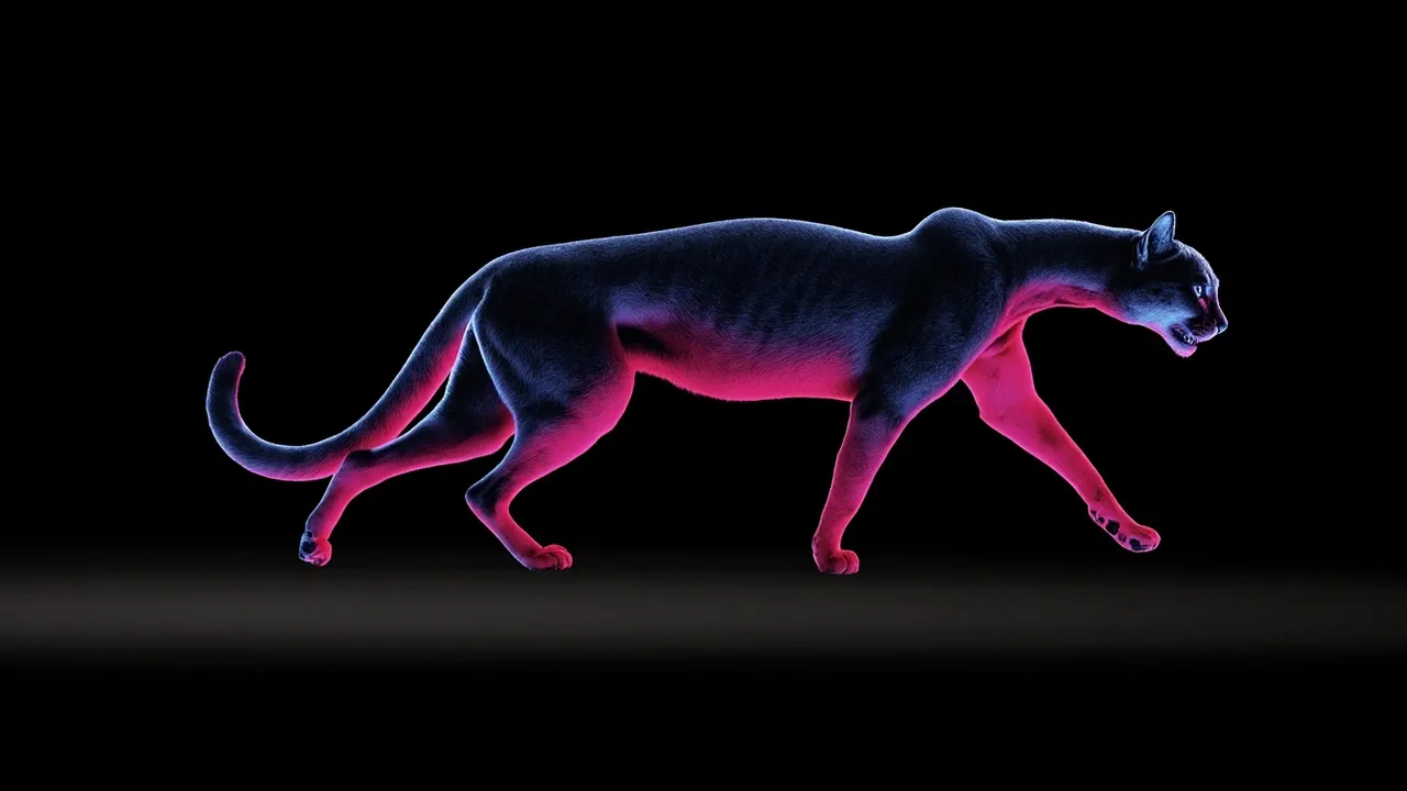 The American Cheetah That Wasn't: A Prehistoric Cat Mystery Solved