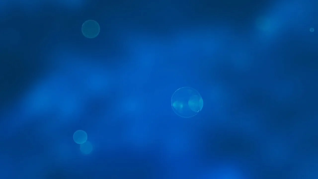Rivien välissä: Mitä hosting-alan fuusiot todella kertovat?