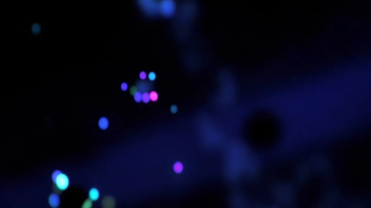 The Spooky Quantum Trick That Stops Particles Without Touching Them