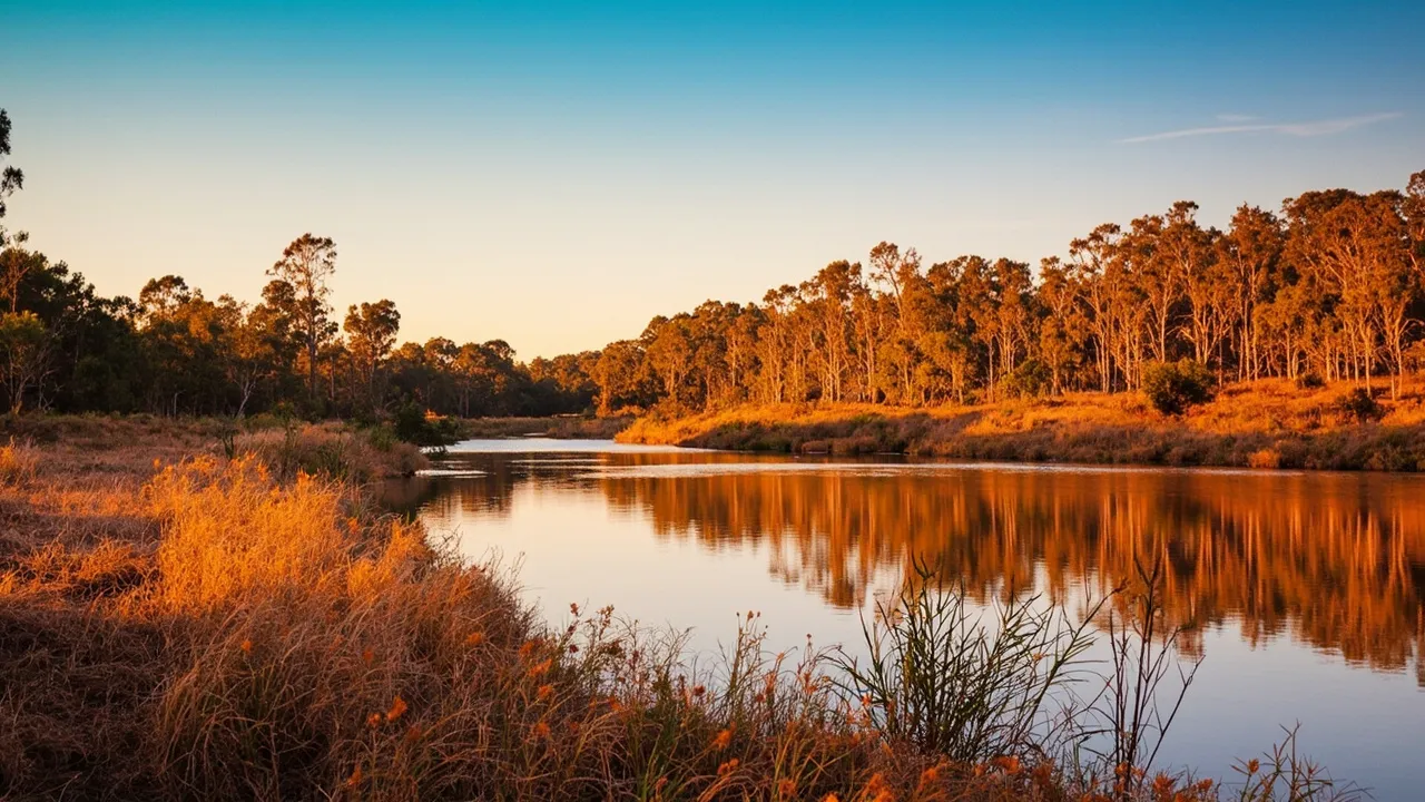 Exploring the River Red Gum Parks: A Guide to the Riverina’s Wild Side