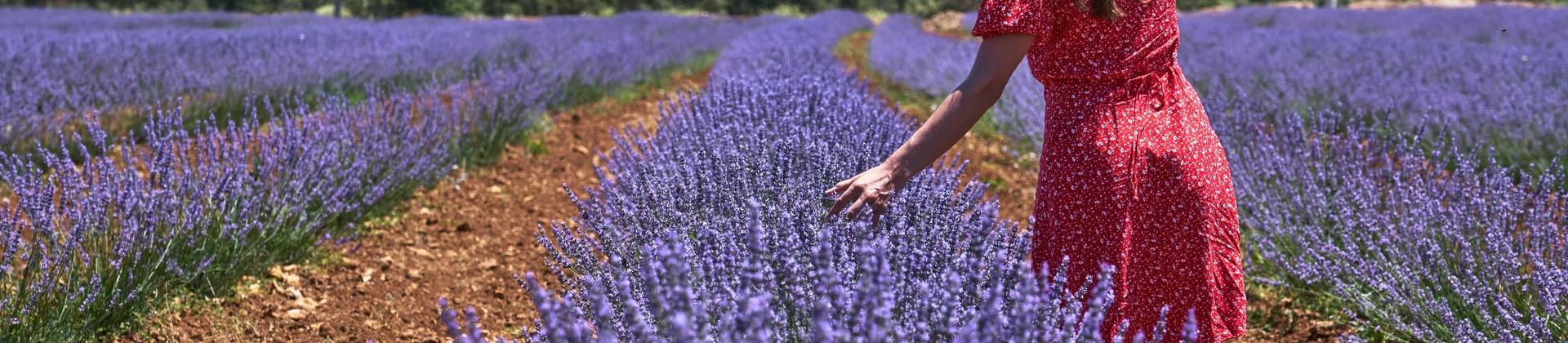 土耳其私人游与团体游：哪一种更适合您？