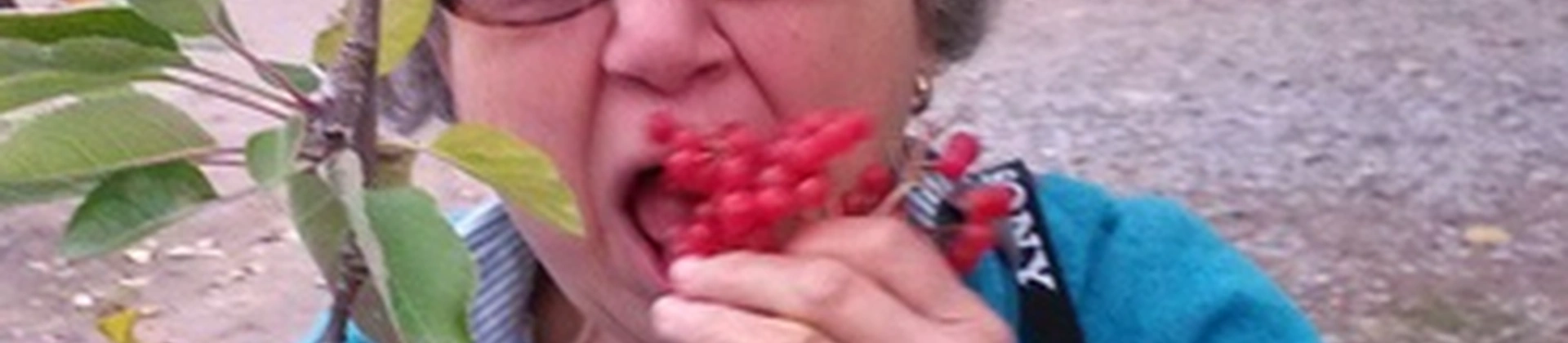 9 coisas para comer na Capadócia