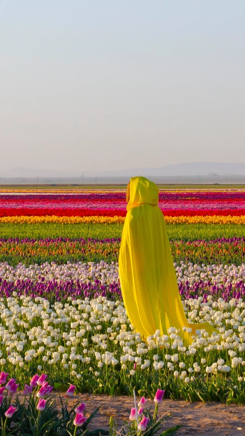 Do I Need a Tour Guide in Turkey? A Local Expert Explains