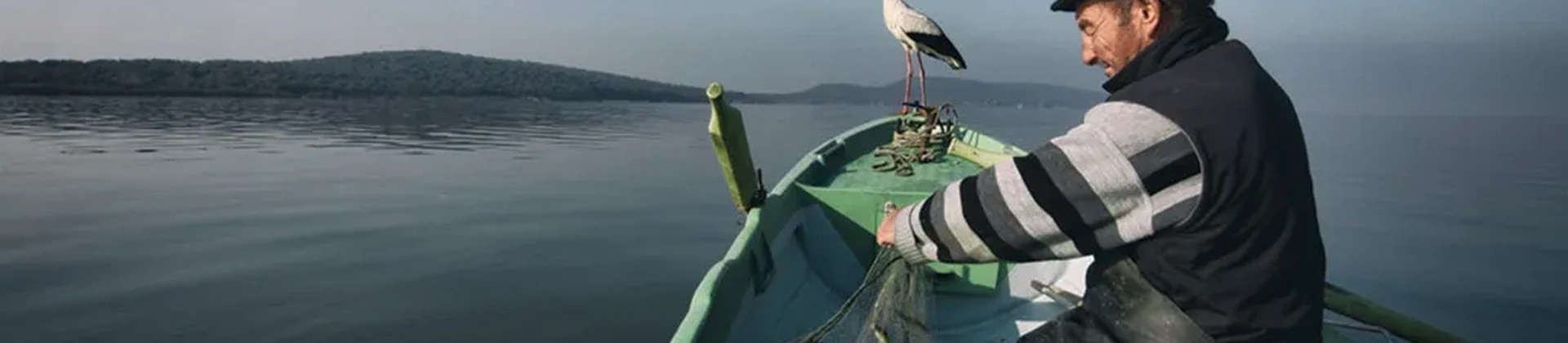 봄이 터키에 오고 있습니다.