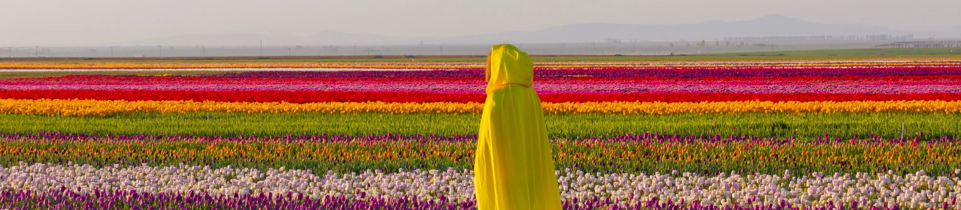 Do I Need a Tour Guide in Turkey? A Local Expert Explains