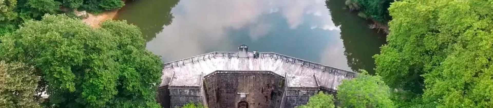 Bossen van Istanboel