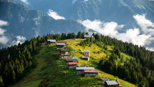 Rize