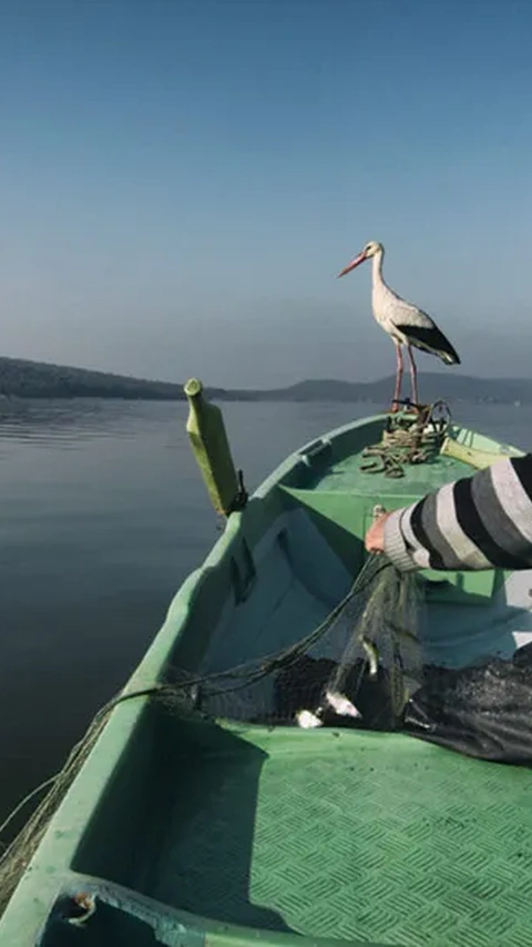 Spring is coming to Turkey