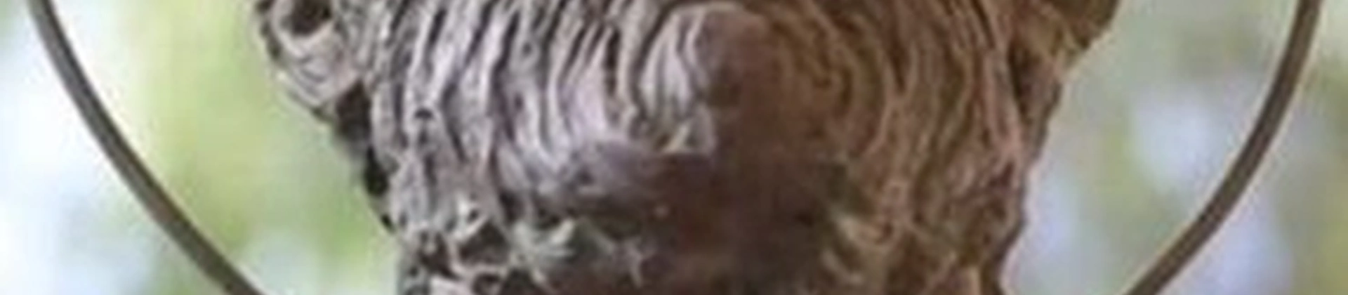 De Anatolische Kerstman