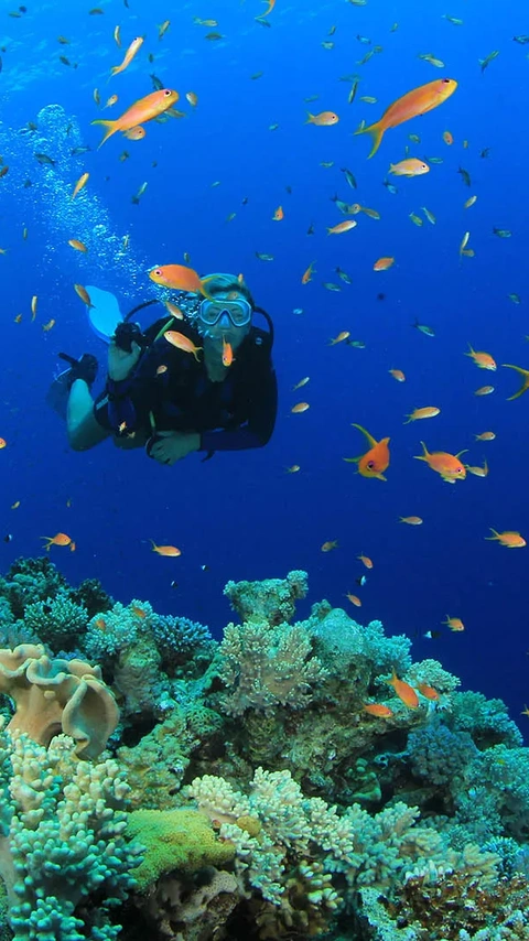 Top 4 Diving Spots in the Aegean Sea