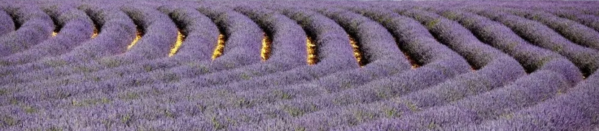 Burdur; Lavanda y Ciudades Antiguas