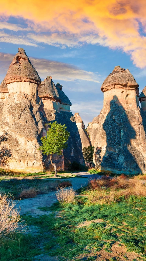 Pasabag Valley: Fairy Chimneys and Mystic Legends of Cappadocia