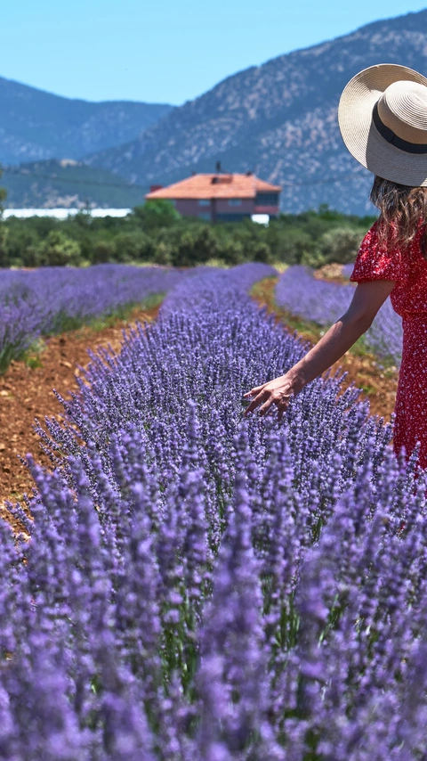 Private VS Group Tours in Turkey: Which One is Right for You?