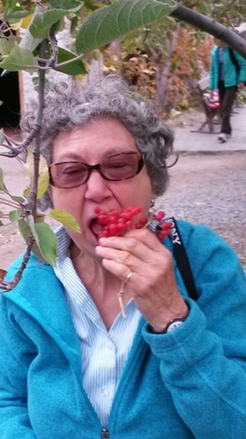 9 things to eat in Cappadocia