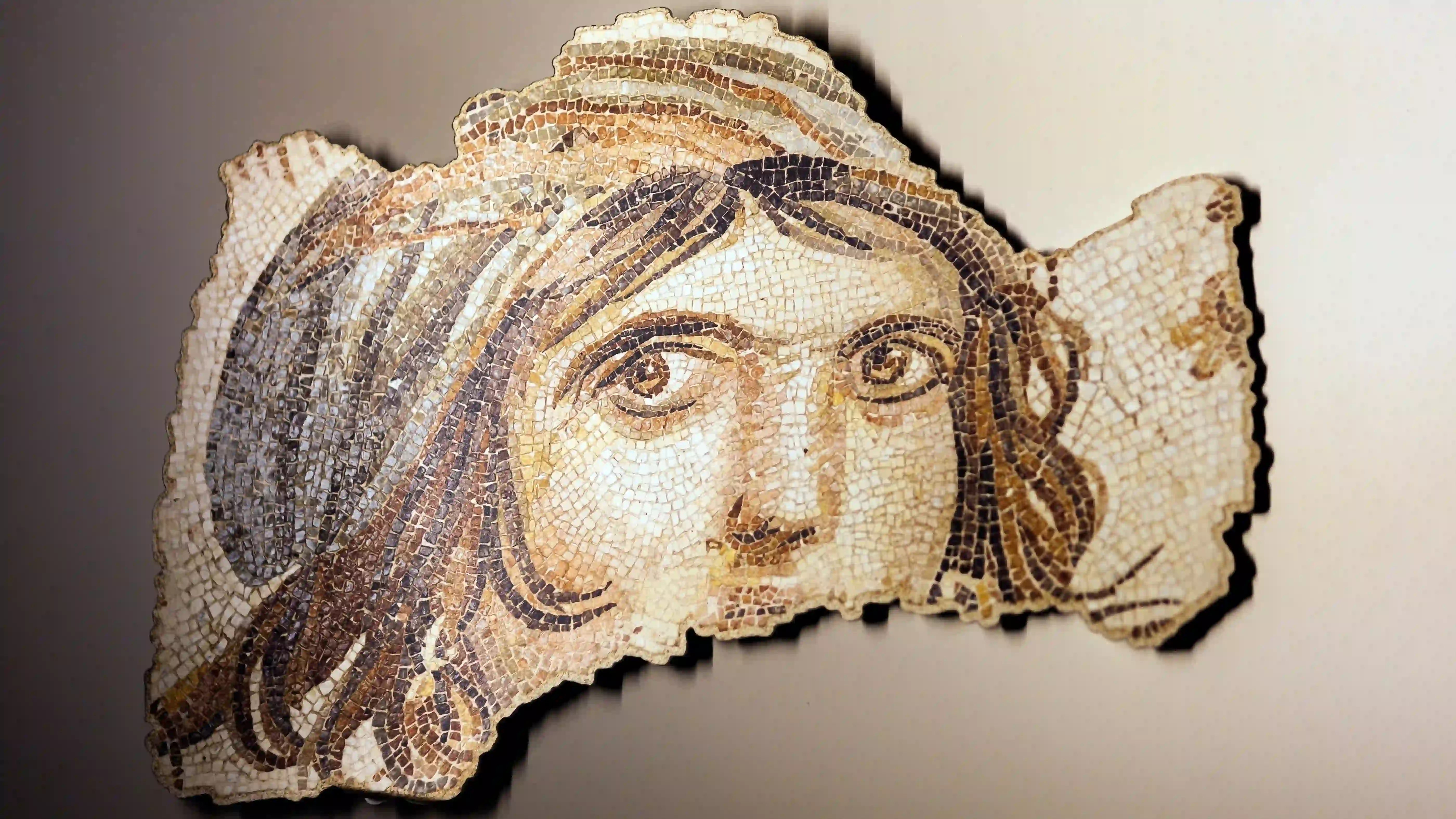 Zeugma Mosaic Museum
