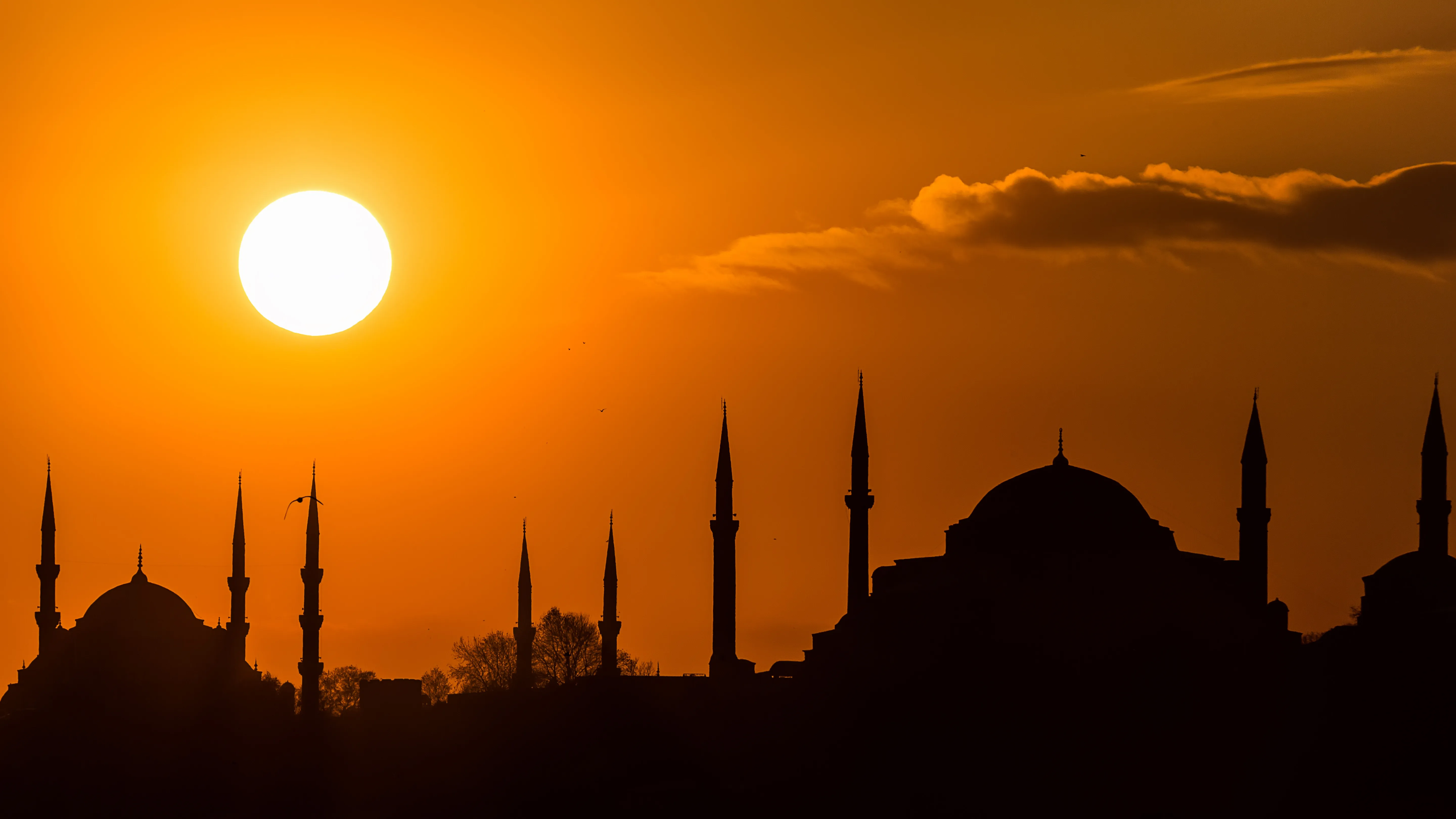 Istanbul Silhouette